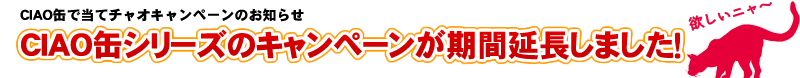 CIAO缶シリーズのキャンペーンが始まります!