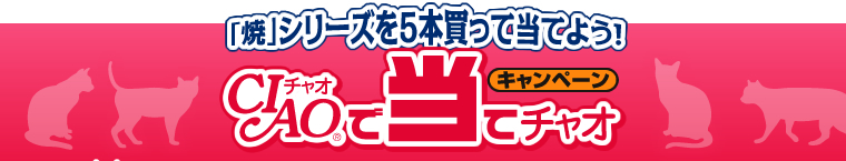 「焼」シリーズを5本買って当てよう!チャオで当てチャオ キャンペーン