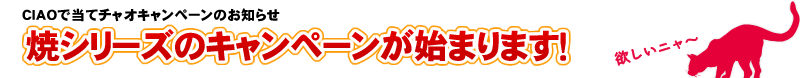 焼シリーズのキャンペーンが始まります！
