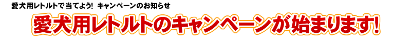 愛犬用レトルトのキャンペーンが始まります！