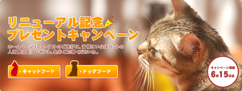 キャンペーン