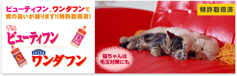 ビューティフン、ワンダフン
