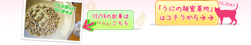 「うにの秘密基地」はコチラから!