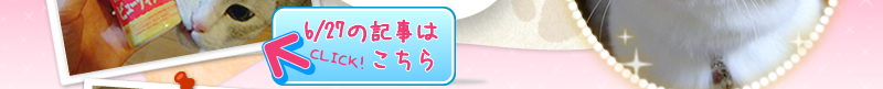 「うにの秘密基地」はコチラから!