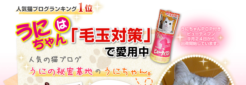 《祝・人気猫ブログランキング1位!》うにちゃんは毛玉対策で愛用中 人気の猫ブログ「うにの秘密基地」のうにちゃん。