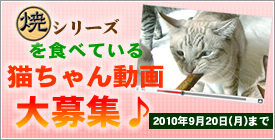 焼シリーズ（焼かつお、焼ささみ、ささみの枝）を食べている動画を大募集！