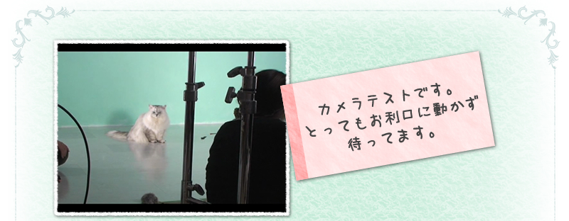 カメラテストです。とってもお利口に動かず待ってます。