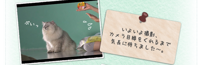 いよいよ撮影、カメラ目線をくれるまで気長に待ちました～。