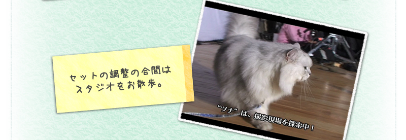 セットの調整の合間はスタジオをお散歩。