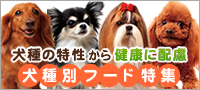 犬種別フード特集