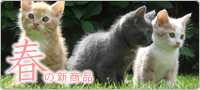 春の新商品