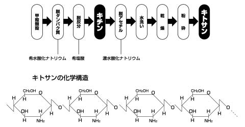 キトサンの化学構造