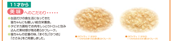 ソフトタブ