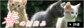春の新商品