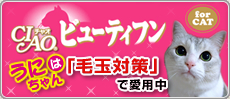 うにちゃんは「毛玉対策」で使用中！ビューティフン