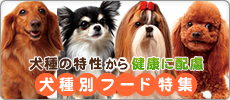 犬種別フード特集