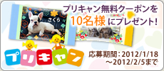 プリキャン無料クーポンを10名様プレゼント！