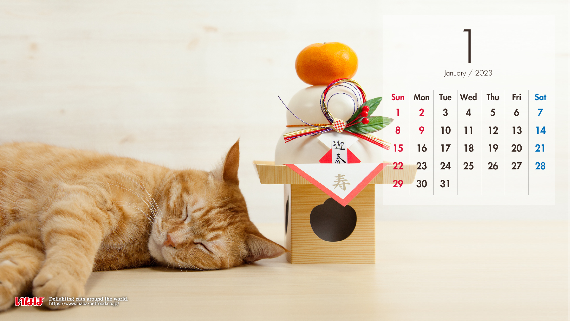2023年1月猫