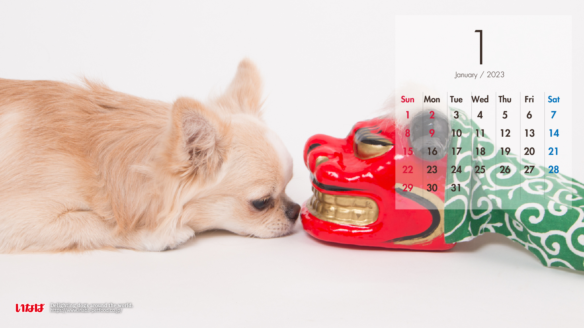 2023年1月犬