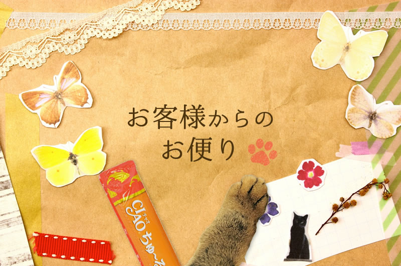 お客様からのお便り