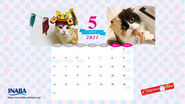 2021年5月猫