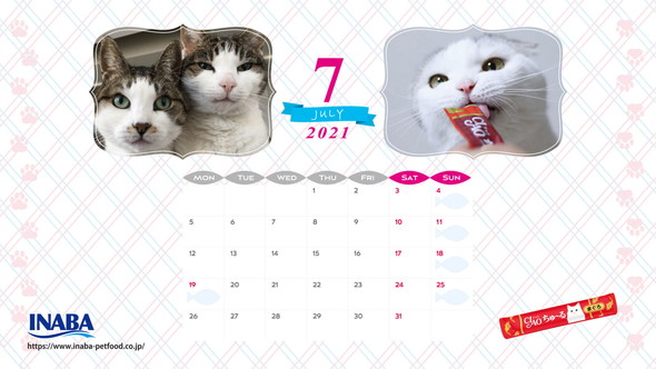 2021年7月猫