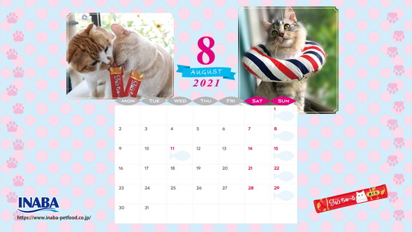 2021年8月猫