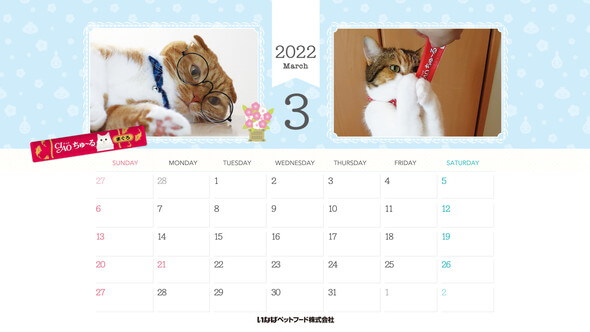 2022年3月猫