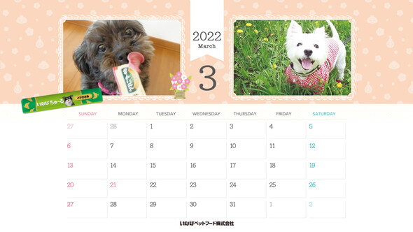 2022年3月犬