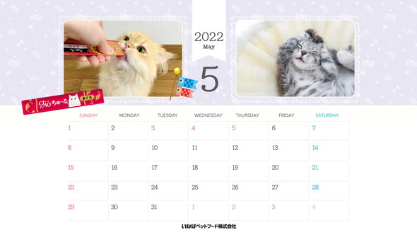 2022年5月猫