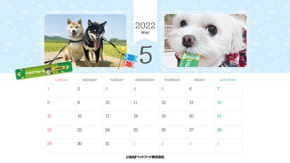 2022年5月犬