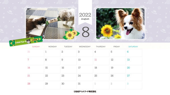 2022年8月犬