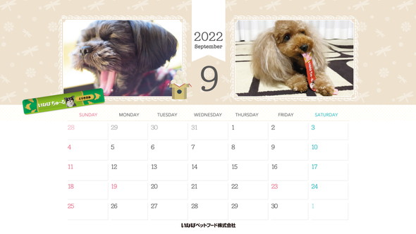 2022年9月犬