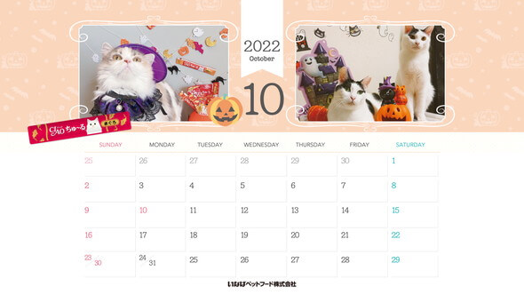 2022年10月猫