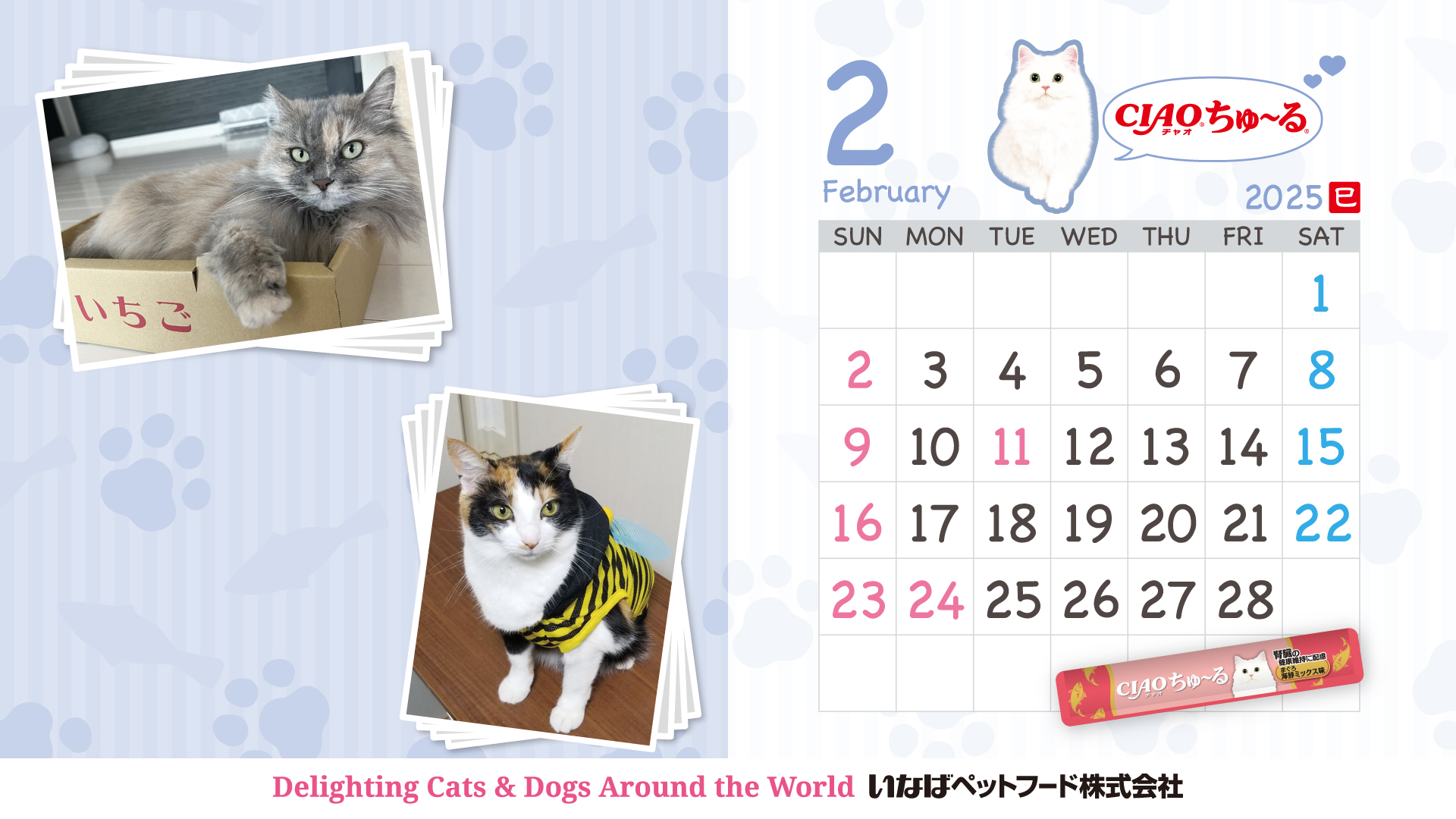 2025年カレンダー 猫ちゃん&ワンちゃん写真 結果発表 | いなば 2025年カレンダー 猫ちゃん&ワンちゃん写真 結果発表 | いなば