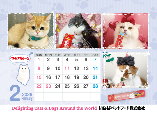 2026年2月猫