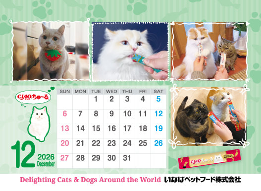 2026年12月猫