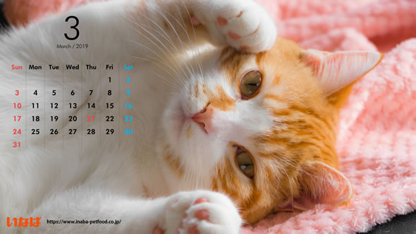 ベスト デスクトップ 壁紙 猫 カレンダー 19