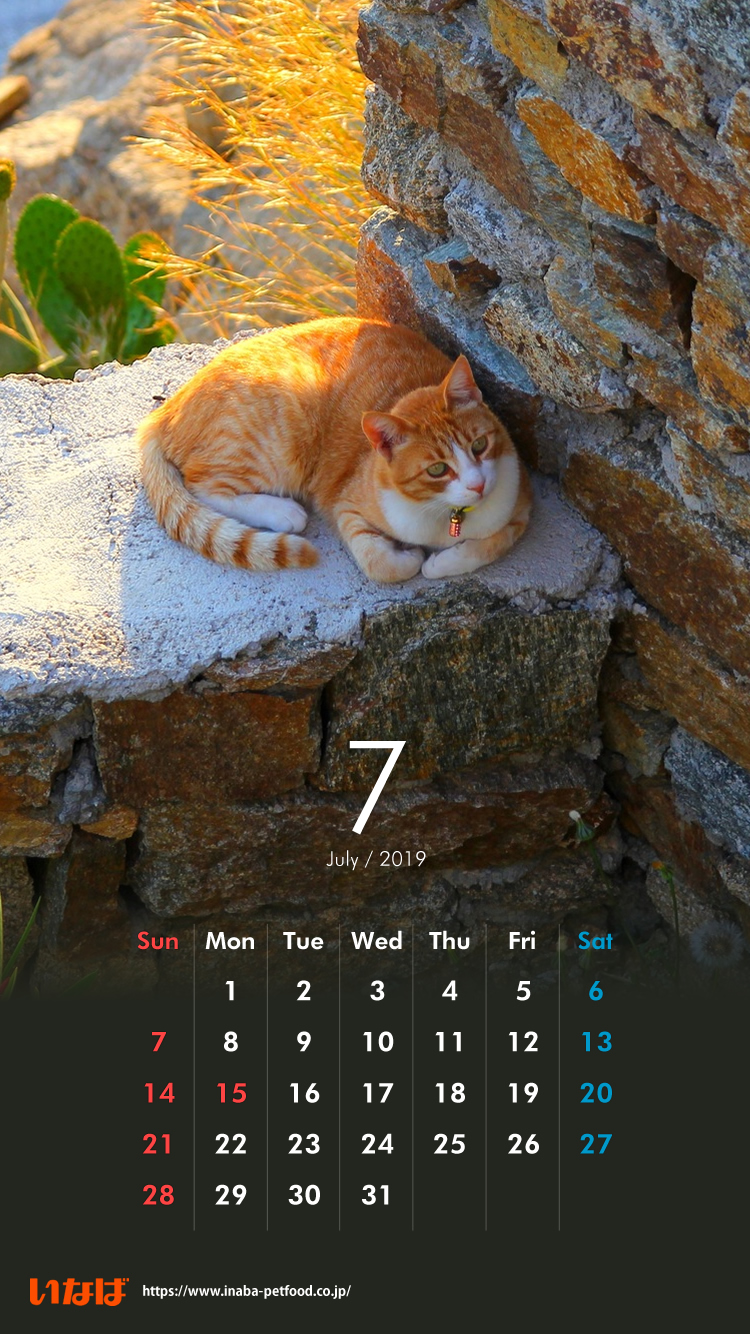ぜいたくスマホ 壁紙 猫 壁紙 無料 すべての美しい花の画像 ぜいたくスマホ 壁紙 猫 壁紙 無料 すべての美しい花の画像