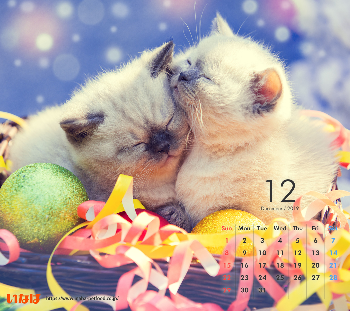 21年の最高 猫 Pc 壁紙 Jpbestwallpaper