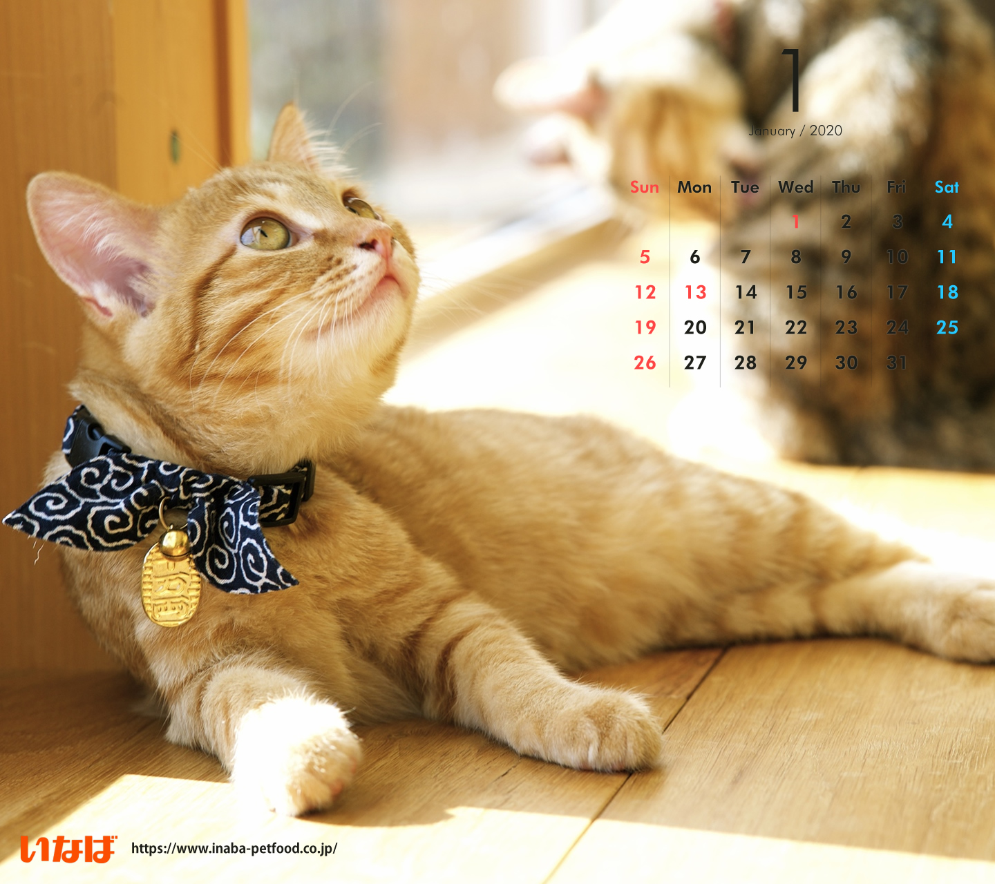 21年の最高 猫 デスクトップ 壁紙 Kabegamiiki