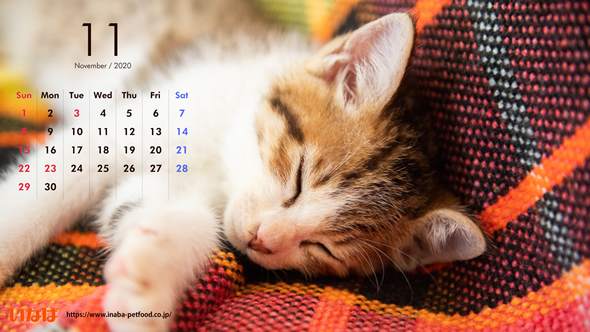 手数料 メキシコ 隠す 壁紙 無料 猫 カレンダー Pickeringtontigers Org
