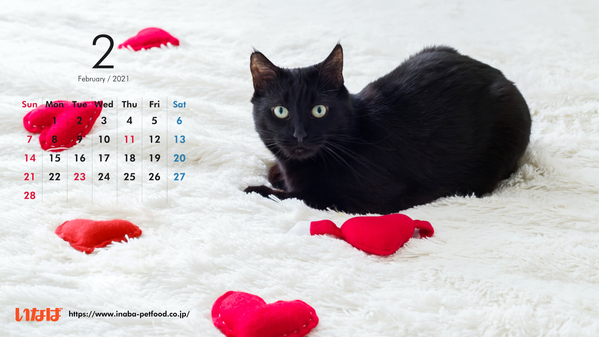 デスクトップ 壁紙 猫 カレンダー