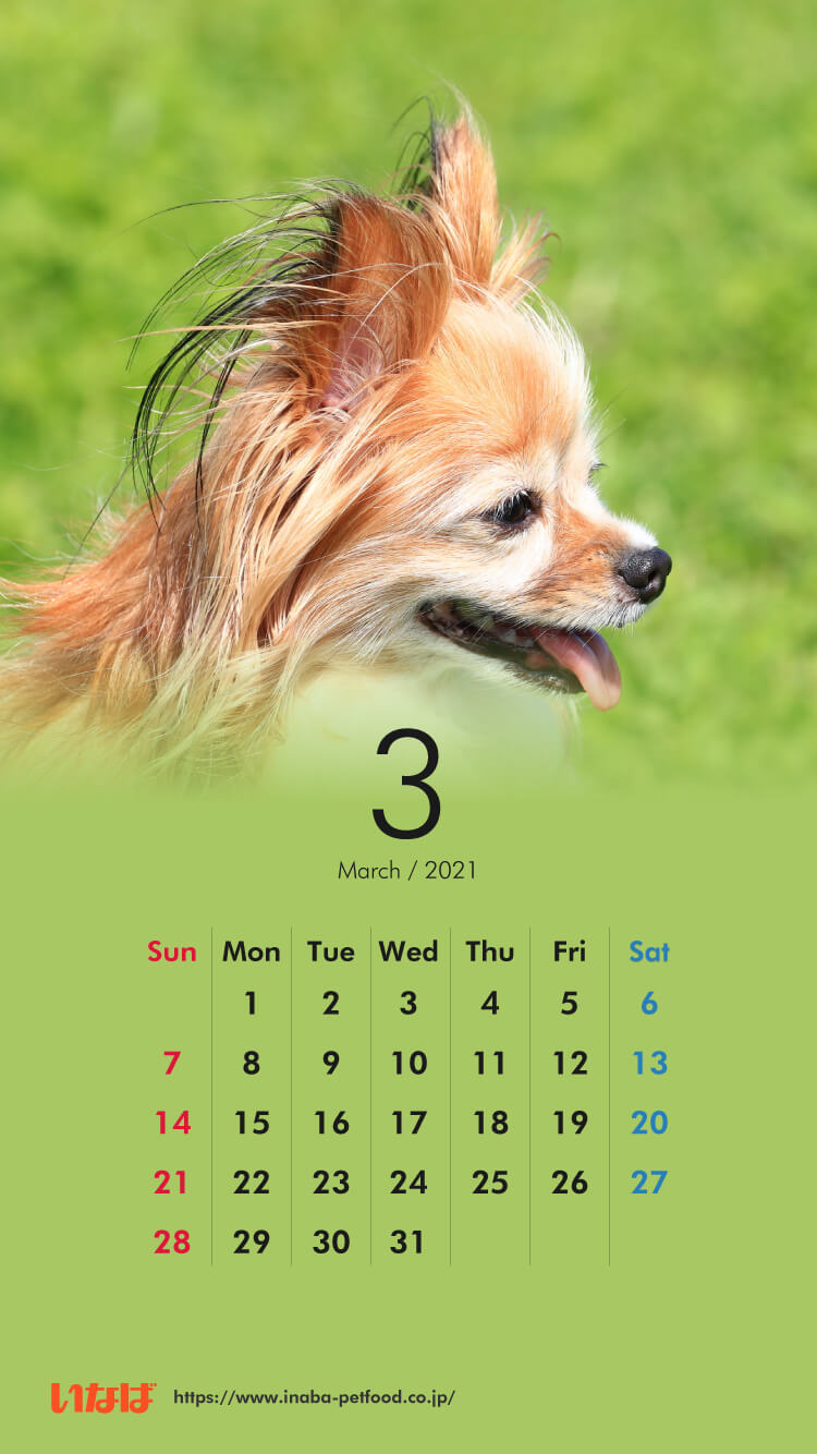 ほっと一息 いなばペットフード株式会社