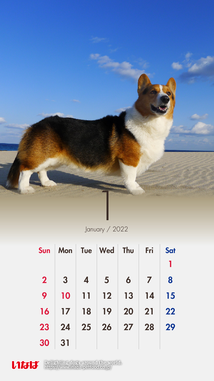 ほっと一息 いなばペットフード株式会社