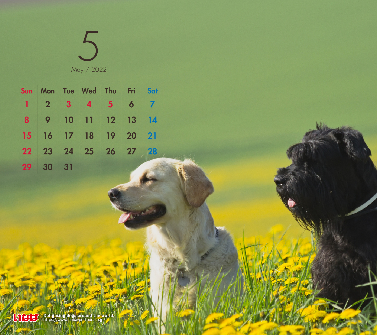 ほっと一息 いなばペットフード株式会社