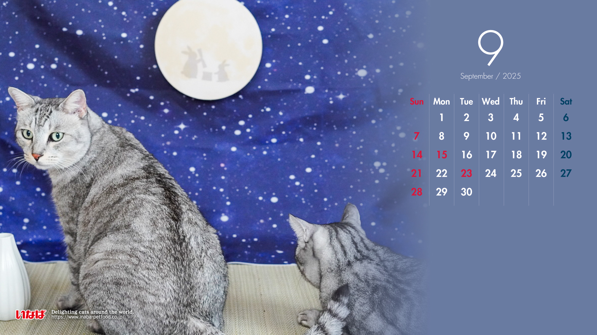 2025年9月猫