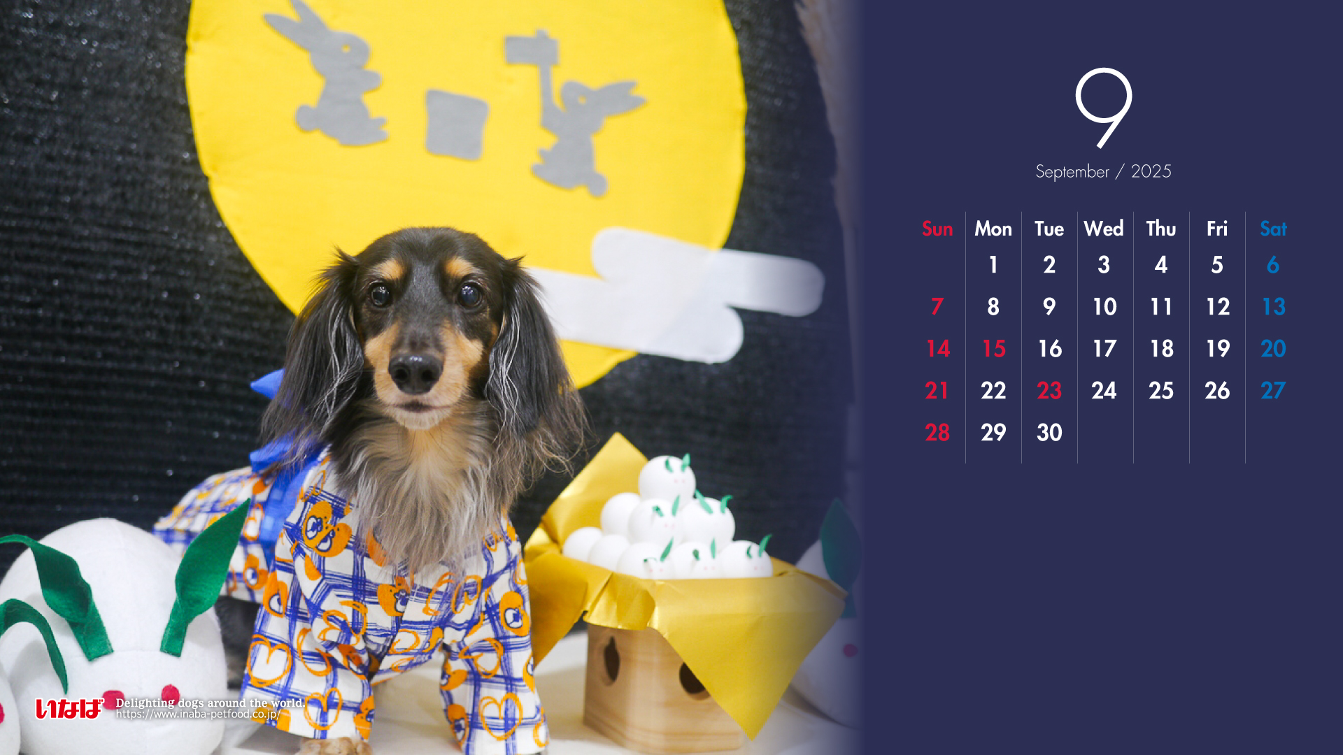 2025年9月犬