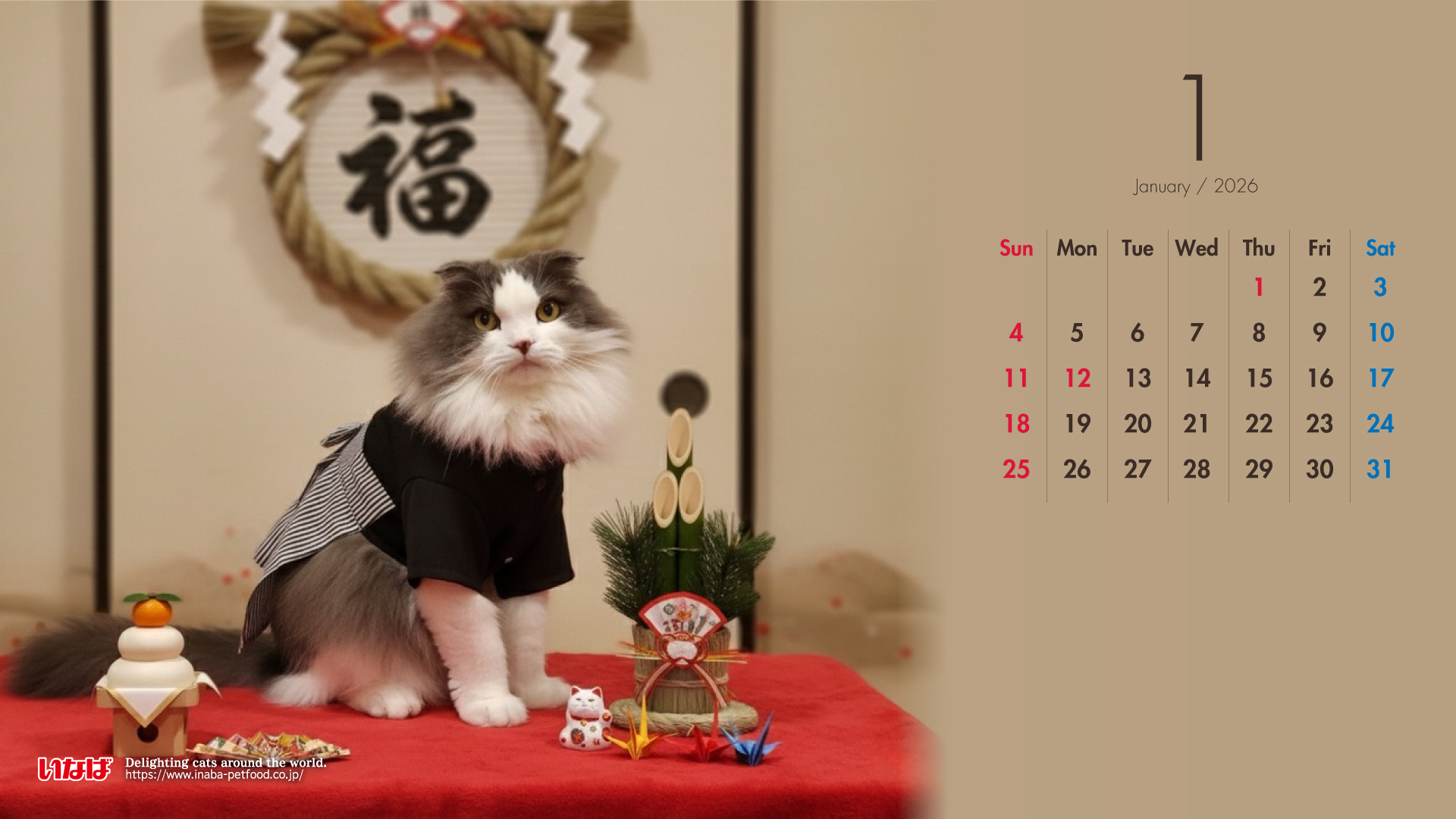 2026年1月猫
