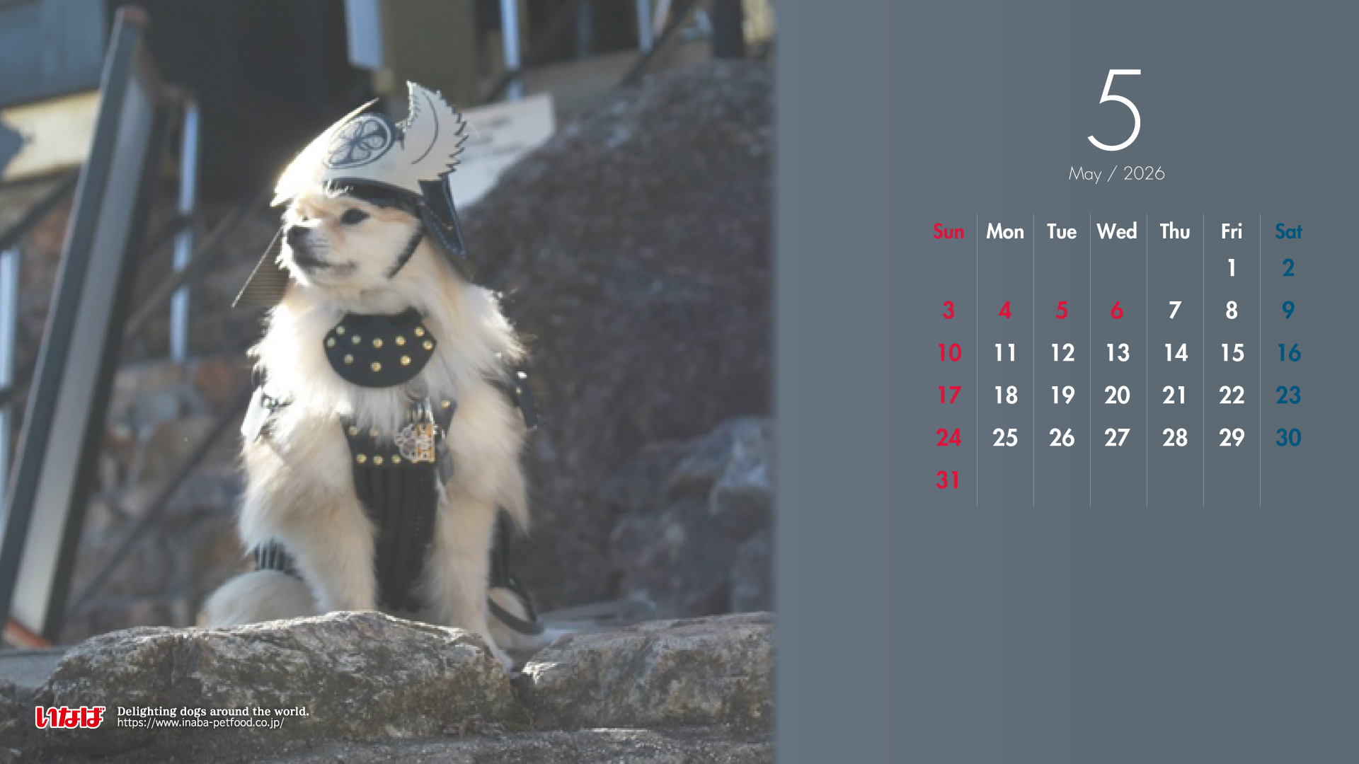 2026年5月犬